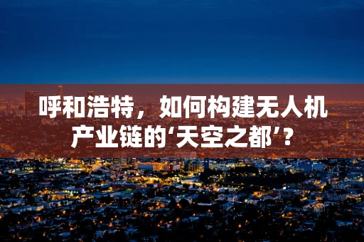 呼和浩特，如何构建无人机产业链的‘天空之都’？