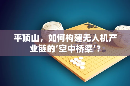 平顶山，如何构建无人机产业链的‘空中桥梁’？