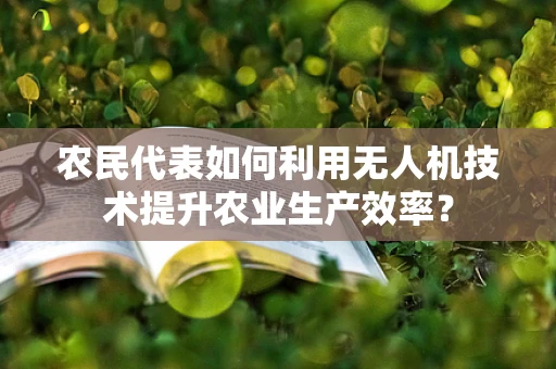 农民代表如何利用无人机技术提升农业生产效率？