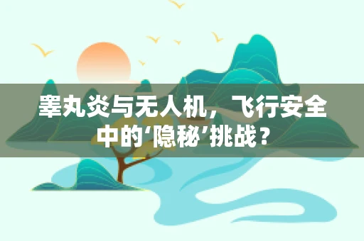 睾丸炎与无人机，飞行安全中的‘隐秘’挑战？