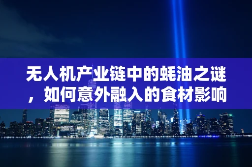 无人机产业链中的蚝油之谜，如何意外融入的食材影响了飞行稳定性？