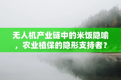 无人机产业链中的米饭隐喻，农业植保的隐形支持者？