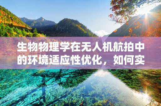 生物物理学在无人机航拍中的环境适应性优化，如何实现？