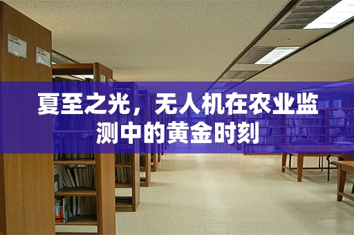 夏至之光，无人机在农业监测中的黄金时刻