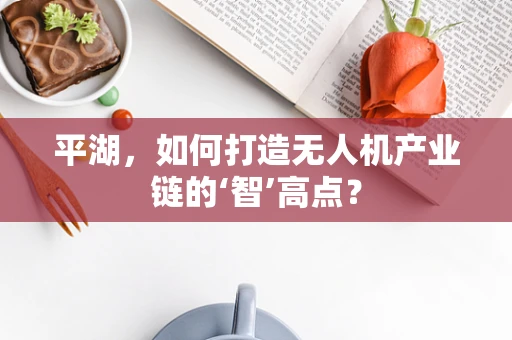 平湖，如何打造无人机产业链的‘智’高点？