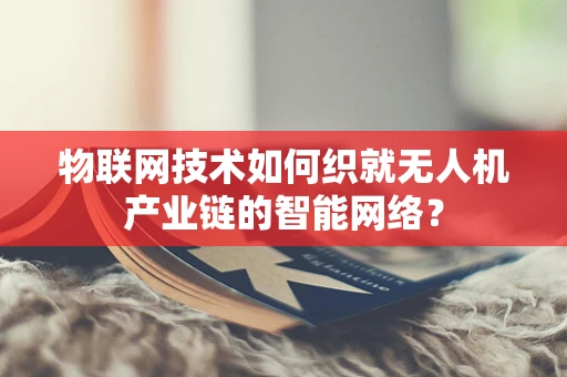 物联网技术如何织就无人机产业链的智能网络？