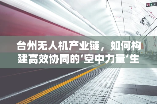 台州无人机产业链，如何构建高效协同的‘空中力量’生态系统？