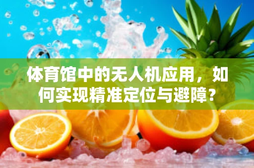 体育馆中的无人机应用，如何实现精准定位与避障？