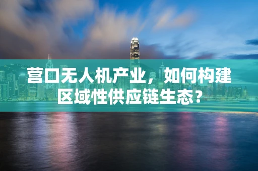 营口无人机产业，如何构建区域性供应链生态？