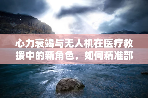 心力衰竭与无人机在医疗救援中的新角色，如何精准部署以提升应急响应效率？