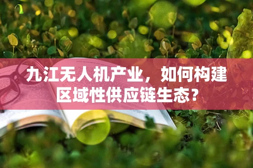 九江无人机产业，如何构建区域性供应链生态？