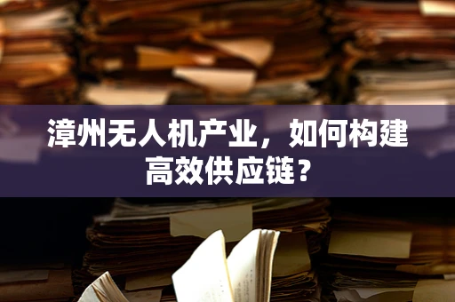 漳州无人机产业，如何构建高效供应链？