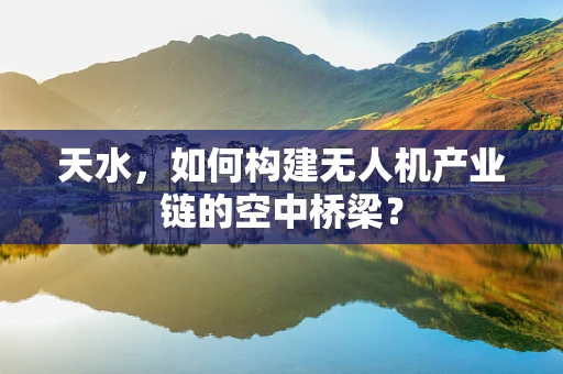 天水，如何构建无人机产业链的空中桥梁？