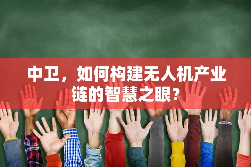 中卫，如何构建无人机产业链的智慧之眼？