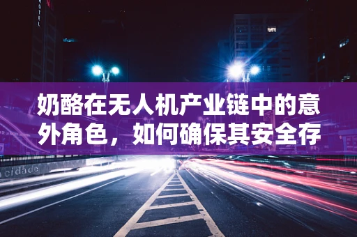 奶酪在无人机产业链中的意外角色，如何确保其安全存储与运输？