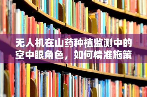 无人机在山药种植监测中的空中眼角色，如何精准施策？