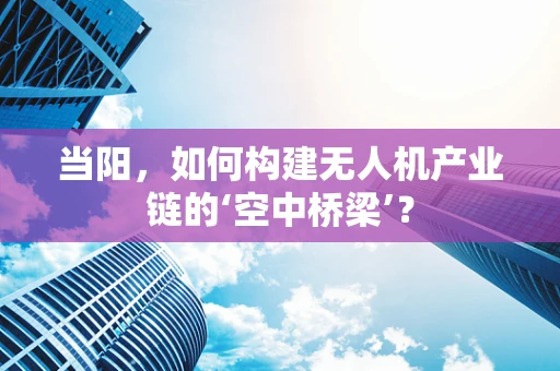 当阳，如何构建无人机产业链的‘空中桥梁’？