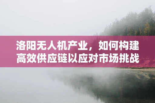 洛阳无人机产业，如何构建高效供应链以应对市场挑战？