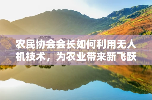 农民协会会长如何利用无人机技术，为农业带来新飞跃？