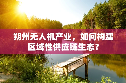 朔州无人机产业，如何构建区域性供应链生态？