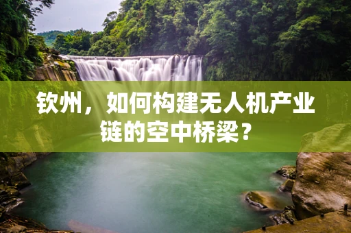 钦州，如何构建无人机产业链的空中桥梁？