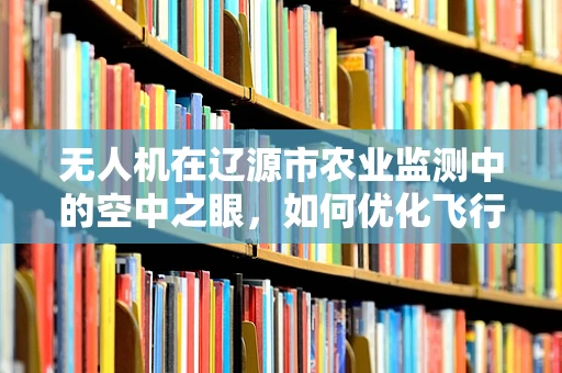 无人机在辽源市农业监测中的空中之眼，如何优化飞行路径以提升监测效率？