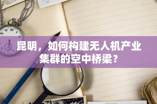 昆明，如何构建无人机产业集群的空中桥梁？