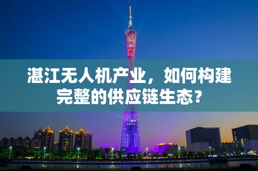 湛江无人机产业，如何构建完整的供应链生态？