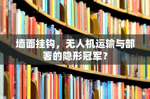 墙面挂钩，无人机运输与部署的隐形冠军？