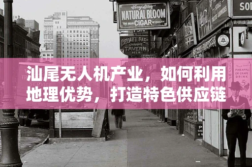 汕尾无人机产业，如何利用地理优势，打造特色供应链？