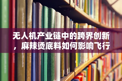 无人机产业链中的跨界创新，麻辣烫底料如何影响飞行稳定性？