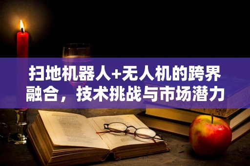 扫地机器人+无人机的跨界融合，技术挑战与市场潜力