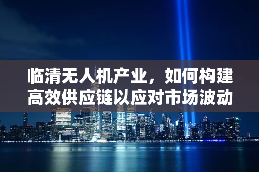 临清无人机产业，如何构建高效供应链以应对市场波动？