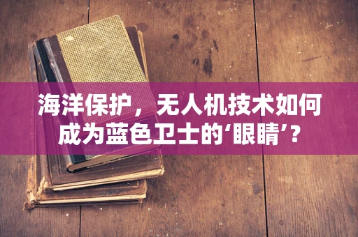 海洋保护，无人机技术如何成为蓝色卫士的‘眼睛’？