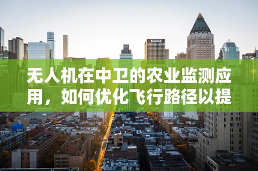 无人机在中卫的农业监测应用，如何优化飞行路径以提升监测效率？