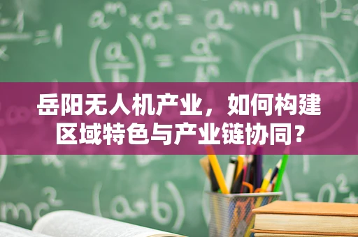 岳阳无人机产业，如何构建区域特色与产业链协同？