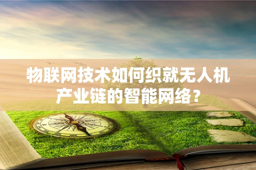 物联网技术如何织就无人机产业链的智能网络？