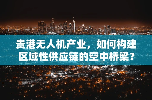 贵港无人机产业，如何构建区域性供应链的空中桥梁？