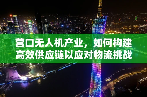 营口无人机产业，如何构建高效供应链以应对物流挑战？