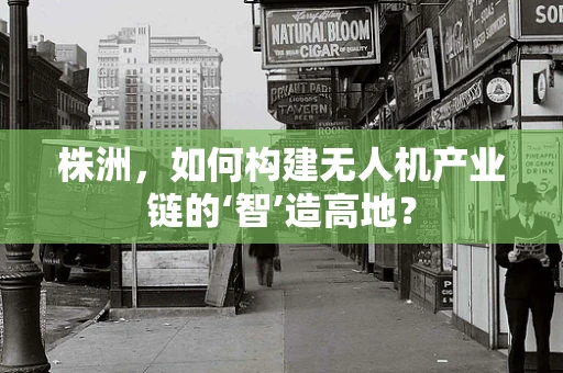 株洲，如何构建无人机产业链的‘智’造高地？