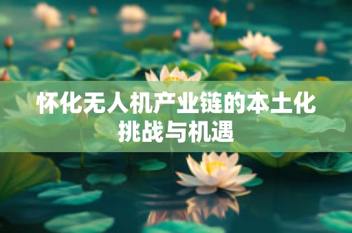 怀化无人机产业链的本土化挑战与机遇