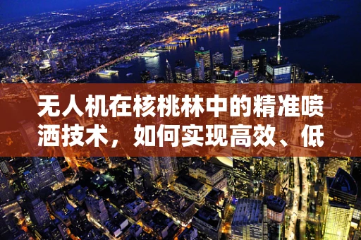 无人机在核桃林中的精准喷洒技术，如何实现高效、低耗的农药施用？