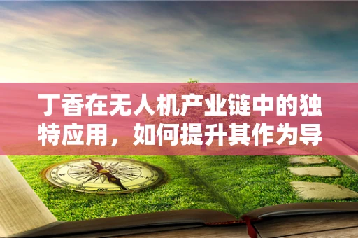 丁香在无人机产业链中的独特应用，如何提升其作为导航标志的精准度？