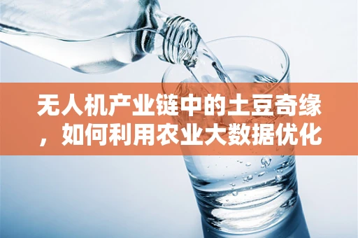 无人机产业链中的土豆奇缘，如何利用农业大数据优化飞行路径？