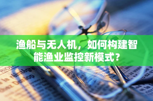 渔船与无人机，如何构建智能渔业监控新模式？