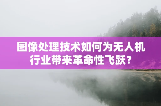 图像处理技术如何为无人机行业带来革命性飞跃？