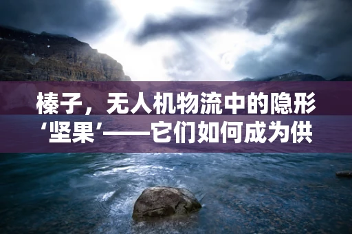 榛子，无人机物流中的隐形‘坚果’——它们如何成为供应链的稳定器？