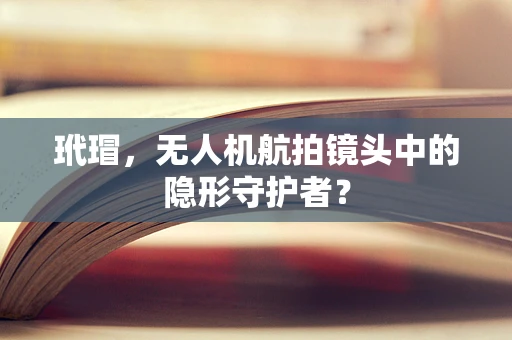 玳瑁，无人机航拍镜头中的隐形守护者？