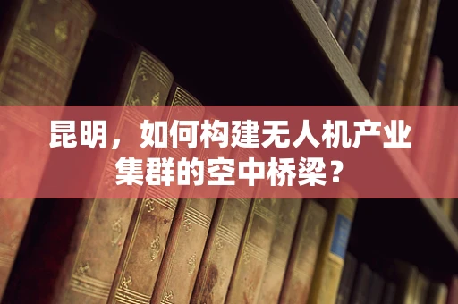 昆明，如何构建无人机产业集群的空中桥梁？