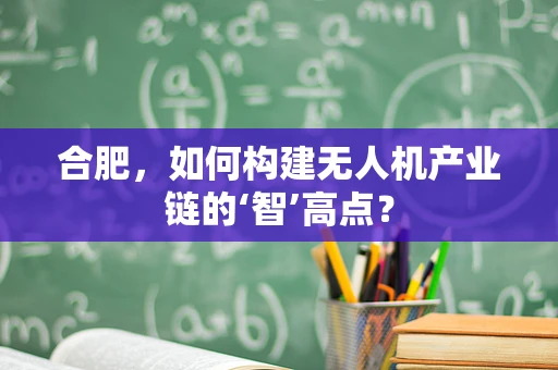 合肥，如何构建无人机产业链的‘智’高点？